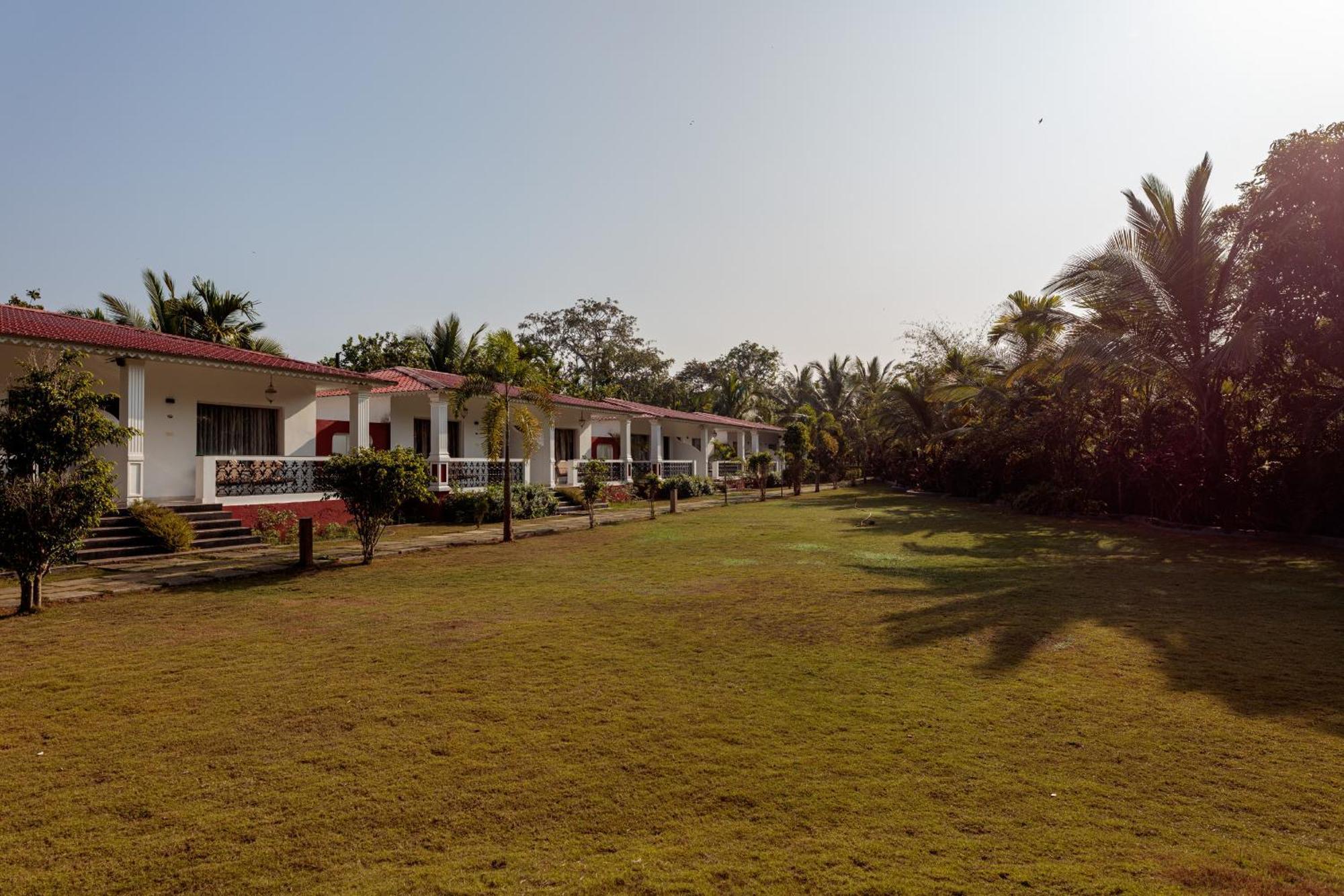 Wild Berry Resort Agonda Canacona Exteriör bild