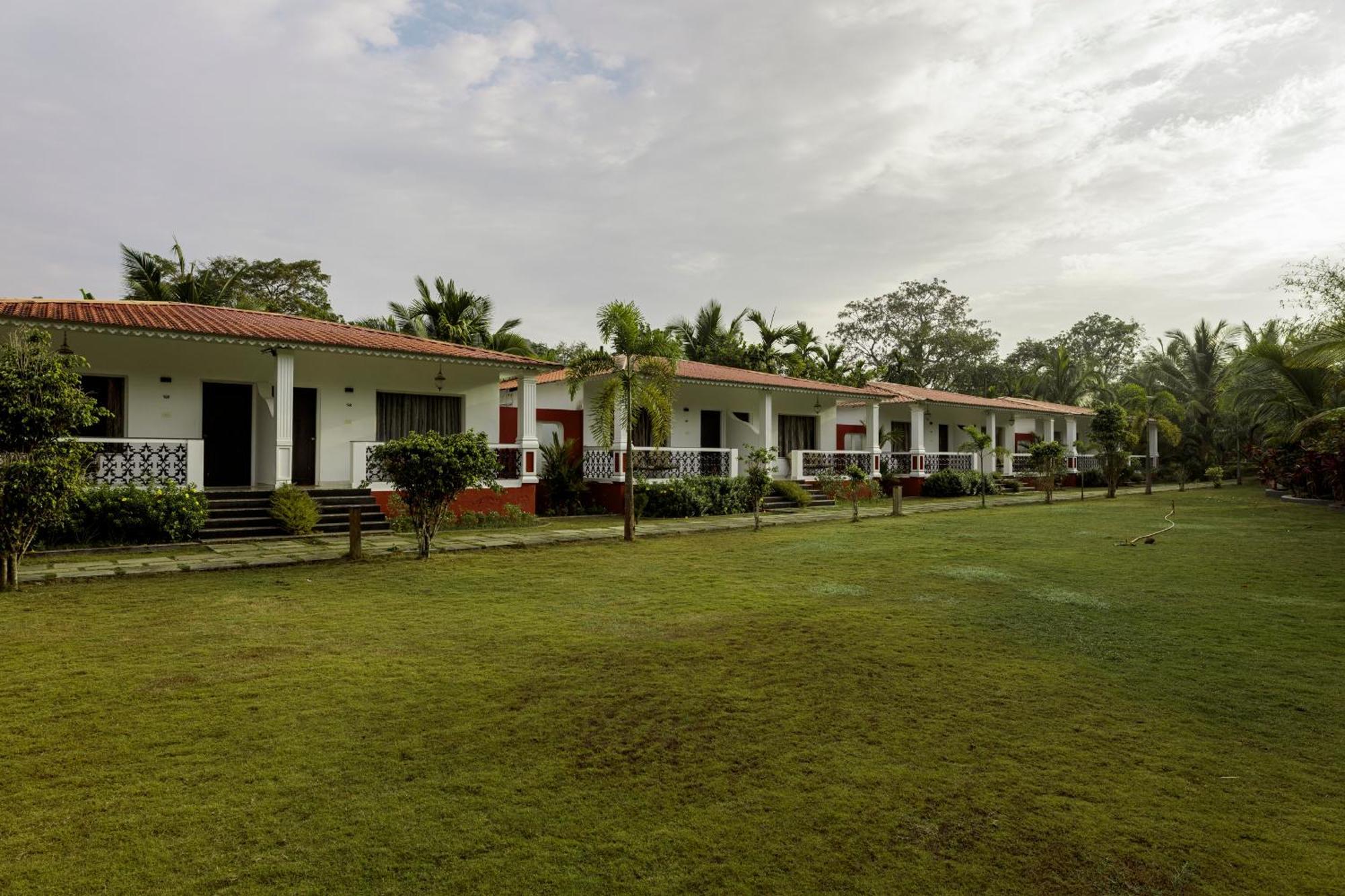 Wild Berry Resort Agonda Canacona Exteriör bild
