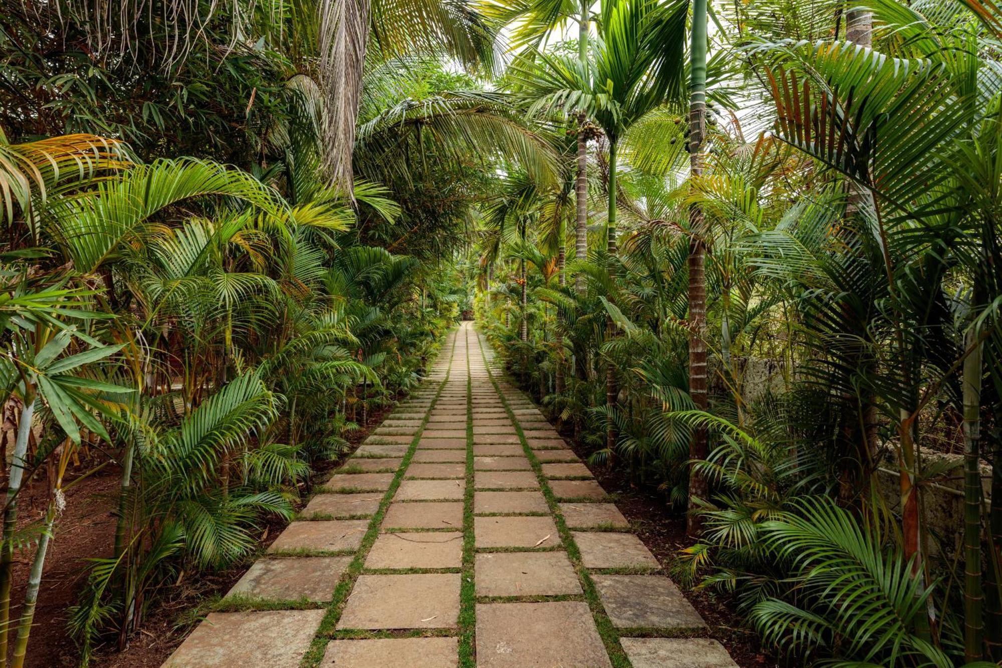 Wild Berry Resort Agonda Canacona Exteriör bild